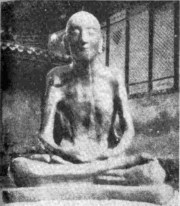 ��� - ��� - �������� ������