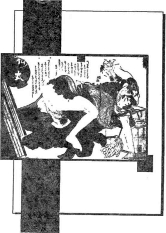 ����� ����� ���� - ����-����