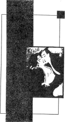 ����� ����� ���� - ����-����