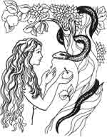 �������� - ���������� �������� ��� ����������� ���������