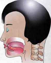 ������ - ��� �������� � ����� ������������