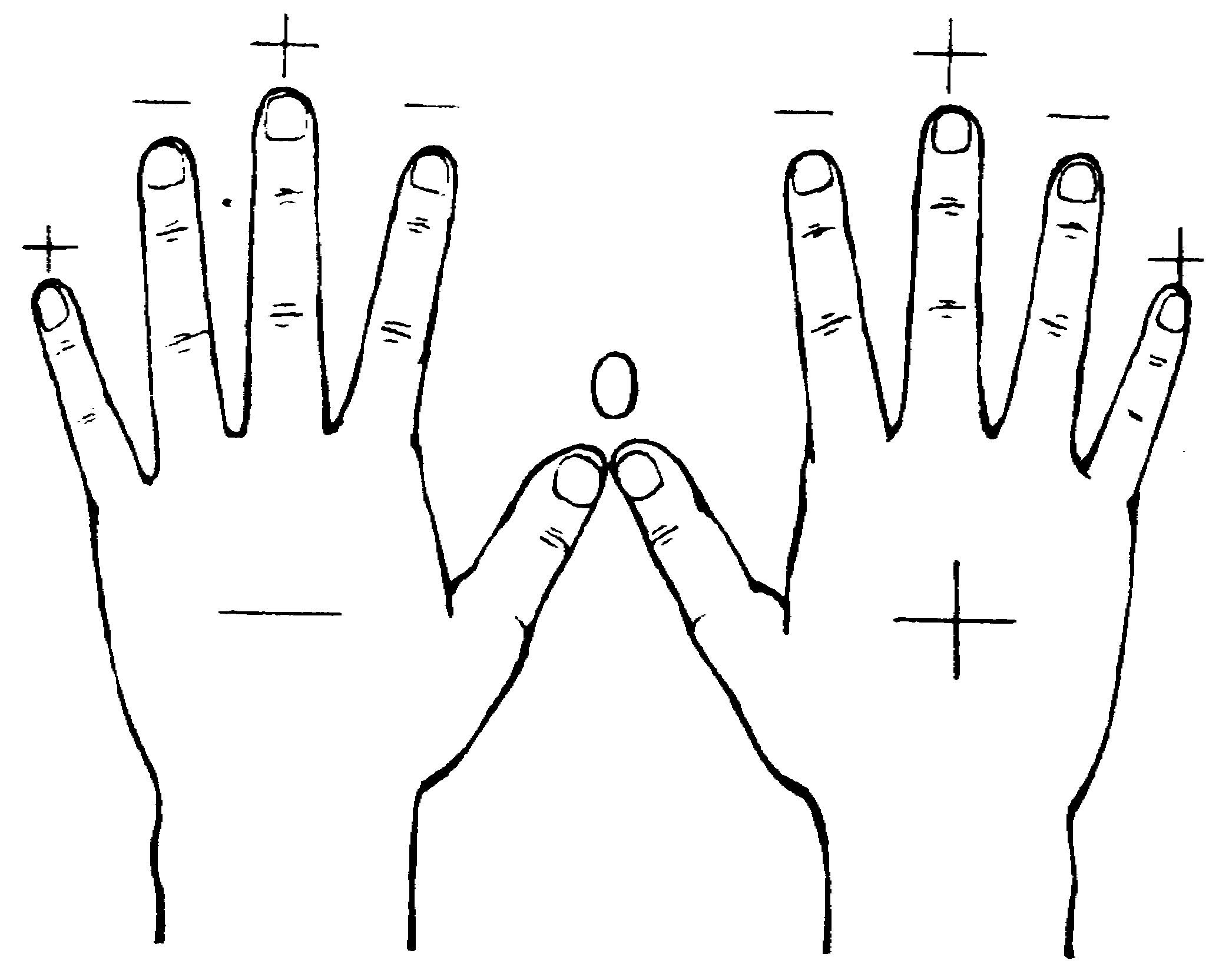 ����������  - ������������ � ���������