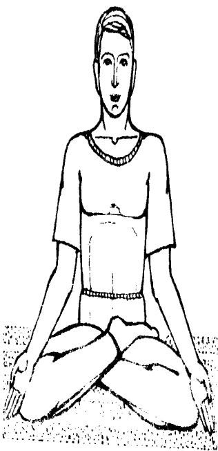 ����������  - ������������ � ���������