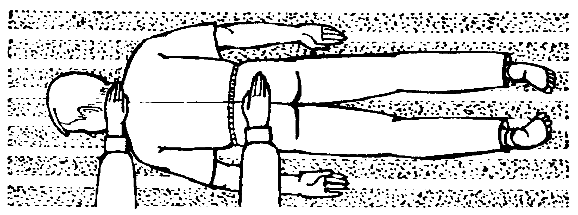 ����������  - ������������ � ���������