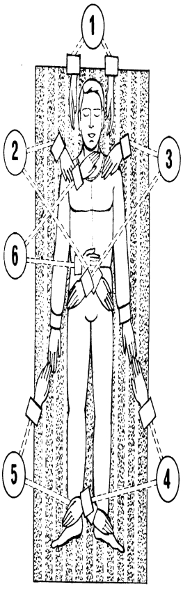 ����������  - ������������ � ���������