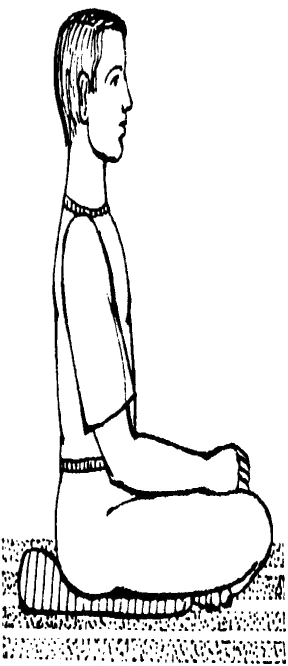 ����������  - ������������ � ���������