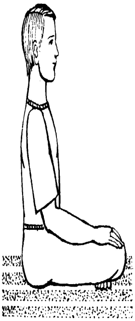 ����������  - ������������ � ���������