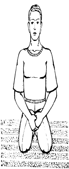 ����������  - ������������ � ���������