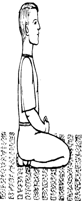 ����������  - ������������ � ���������