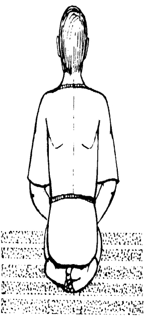 ����������  - ������������ � ���������