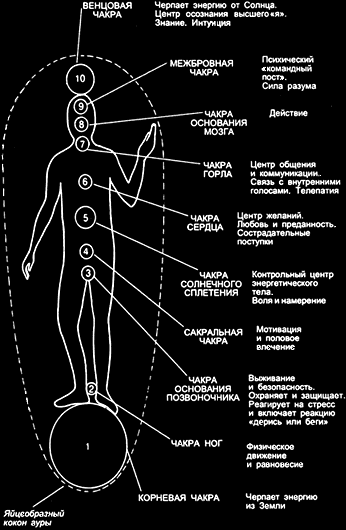 ������ - ��������� ����. ������������ ����������� �� ������������ ���������