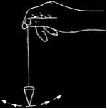 ������ - ��������� ����. ������������ ����������� �� ������������ ���������