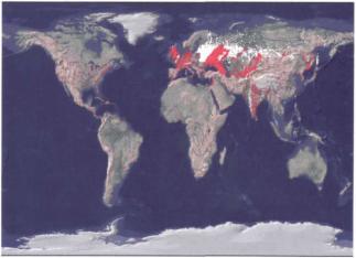 ������ �. �. - ��������������� ������ �������