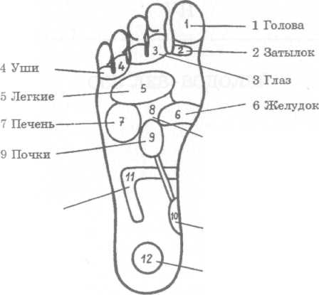 ������ ������� �������� - ������, ���� � ��������� �������� � ���������