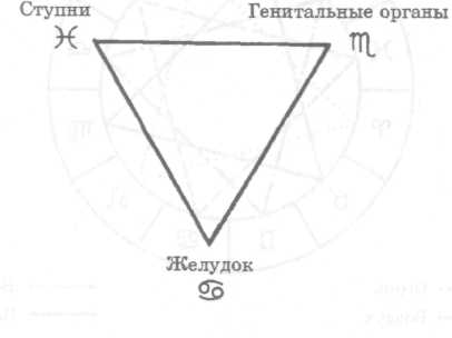 ������ ������� �������� - ������, ���� � ��������� �������� � ���������