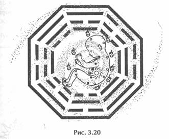 ��� ������, ��������� ���� -