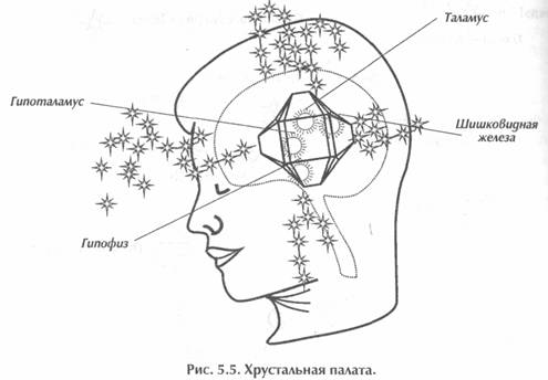 ��� ������, ��������� ���� -