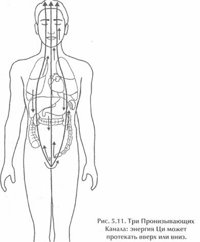 ��� ������, ��������� ���� -