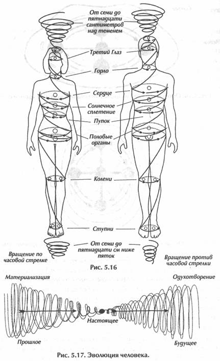 ��� ������, ��������� ���� -