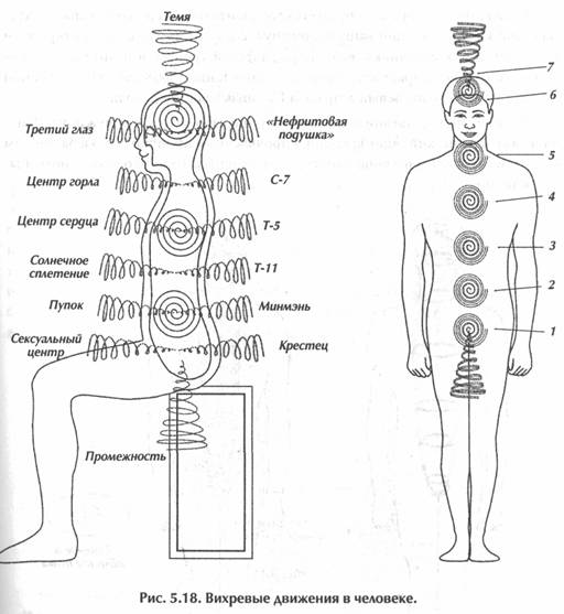 ��� ������, ��������� ���� -