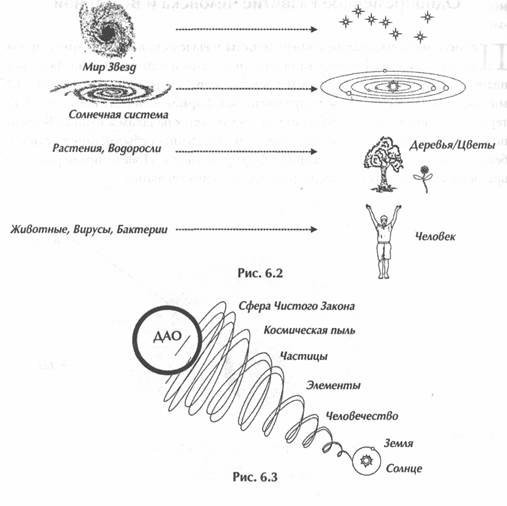 ��� ������, ��������� ���� -