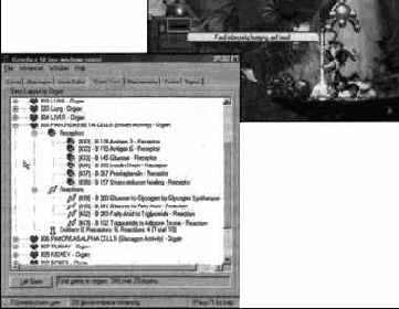 Природа - великий подсказчик
