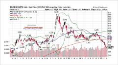 ��� ���� ���� �� ������?