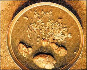 ����� ������������- ���� �������?