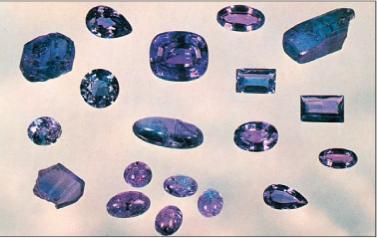 ������� ������� ��������� ����������