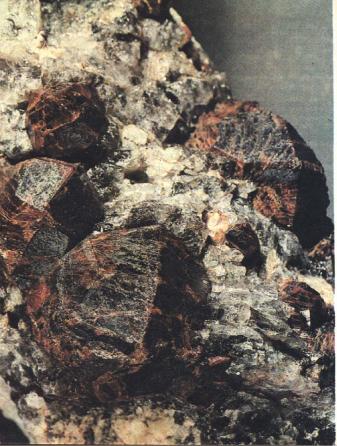 ������������ ����� ���