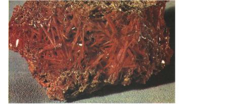 ��� ������ � ��� ���������