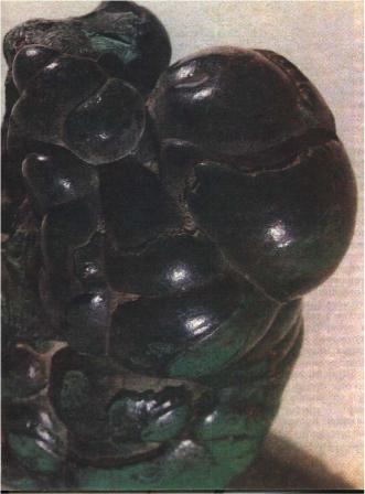 ����������� ������ ���������