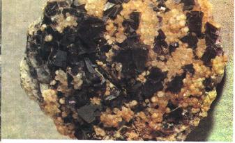 ����� � ��������, ��������, ������� � ��� ������