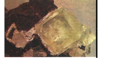 ����� � ��������, ��������, ������� � ��� ������