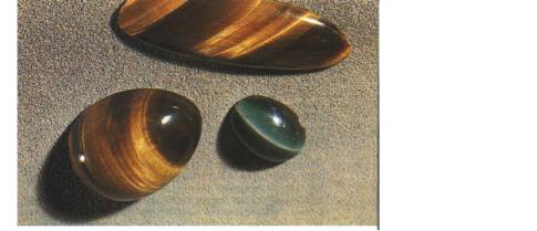 ����� � ��������, ��������, ������� � ��� ������