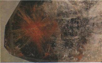 ����� � ��������, ��������, ������� � ��� ������