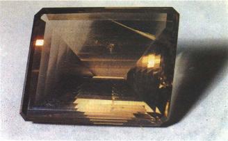 ����� �������� ��������