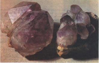 ����� �������� ��������