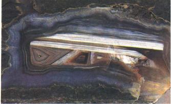 ����� �������� ��������