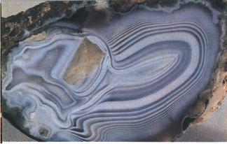 ����� �������� ��������