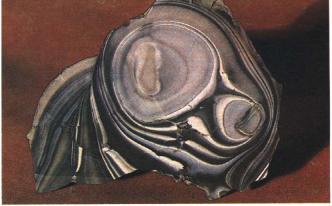 �������� ������ 