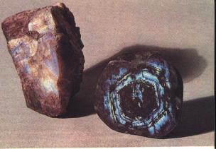 ������ ��������� ���� ������