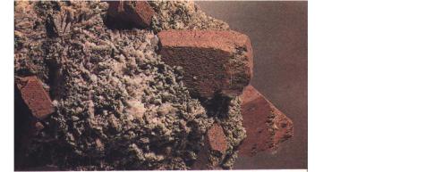 ������ ��������� ���� ������