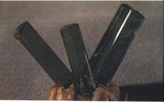 ������ ��������� ���� ������