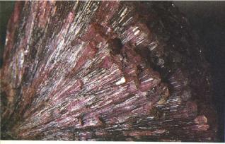 ������ ��������� ���� ������